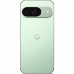 Telefon Google Pixel 9, 128GB, 12GB RAM, Wintergreen - imagine 3