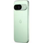 Telefon Google Pixel 9, 128GB, 12GB RAM, Wintergreen - imagine 5